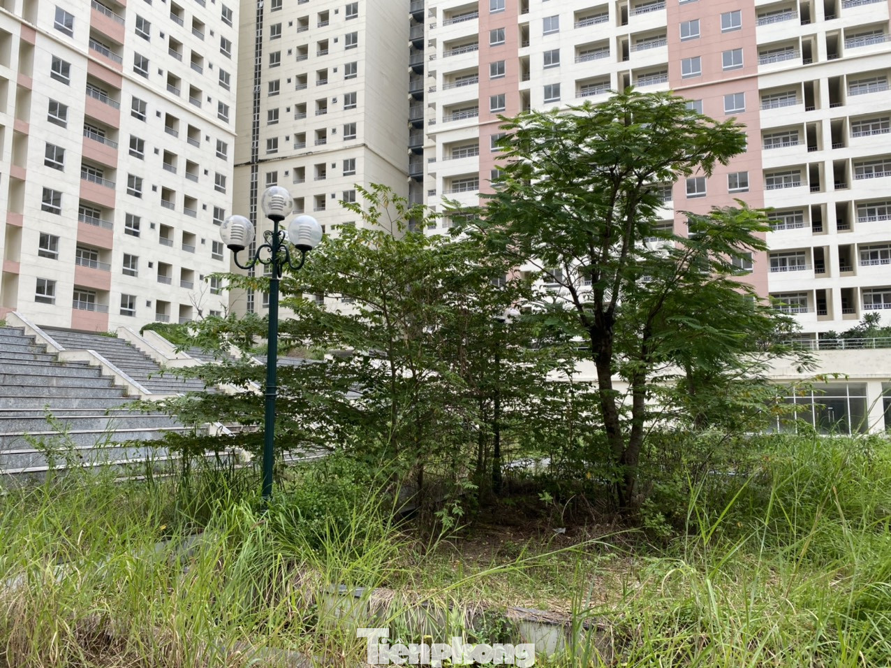 Cận cảnh các khu tái định cư tốn hàng chục tỷ bảo trì nhưng bỏ không ở Sài Gòn ảnh 12