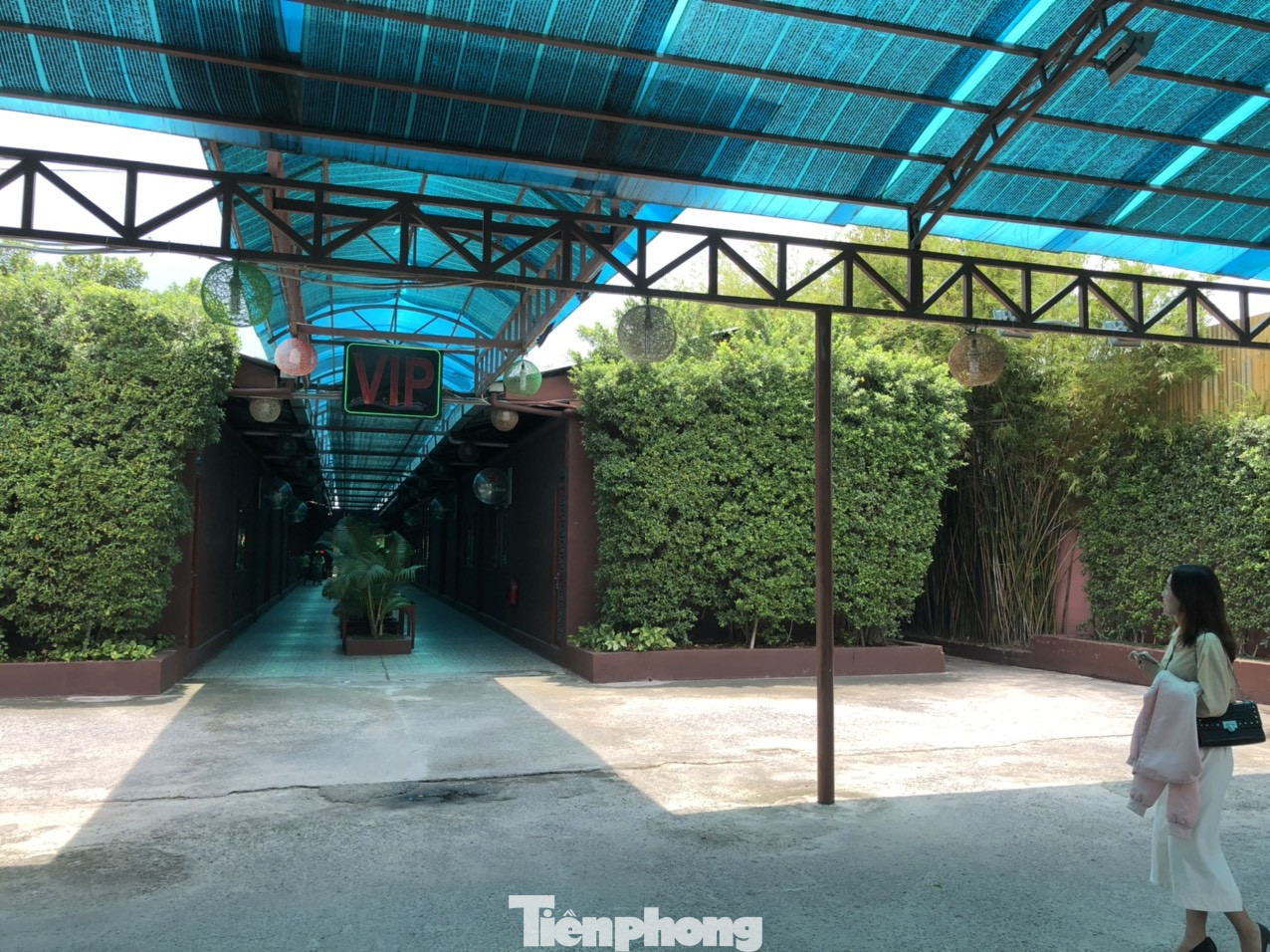 Nhà hàng ẩm thực lớn nhất Sài Gòn 'mọc' trên đất nông nghiệp ảnh 15