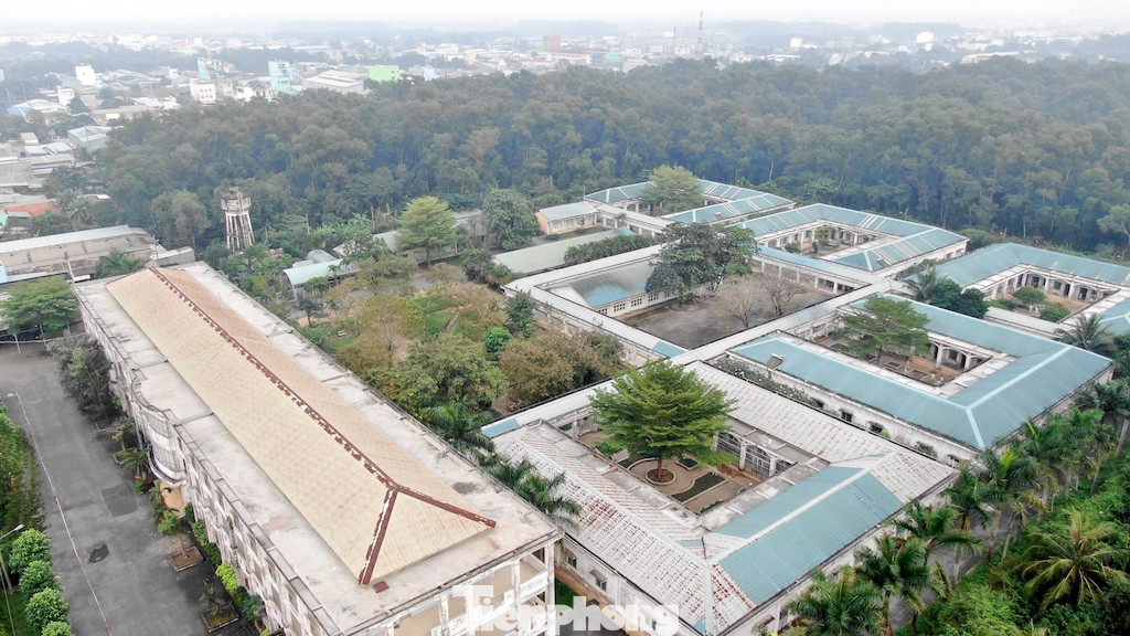 Chưa bàn giao, Bệnh viện Tâm thần TPHCM đã sụt lún như gặp động đất ảnh 3