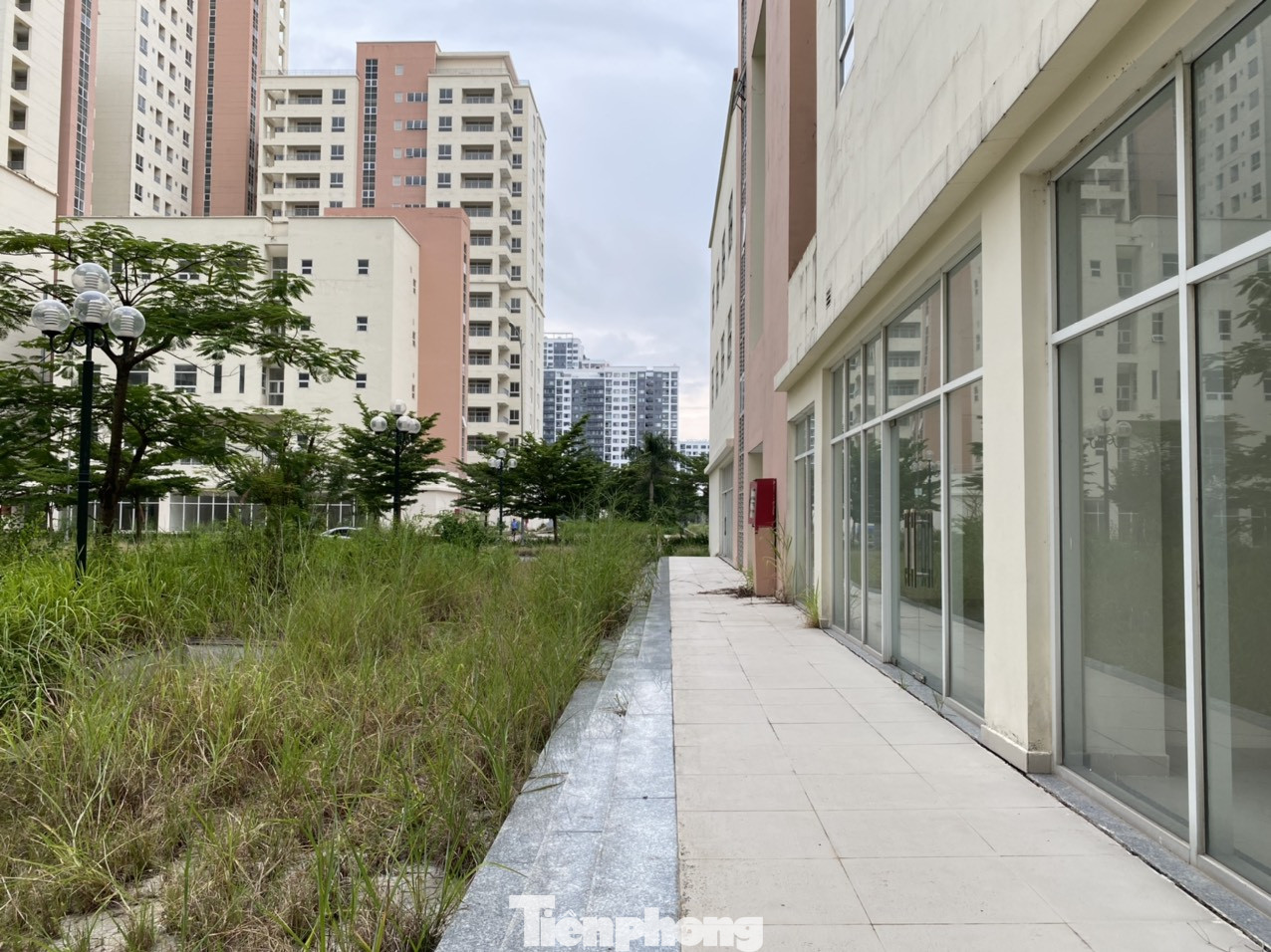 Cận cảnh các khu tái định cư tốn hàng chục tỷ bảo trì nhưng bỏ không ở Sài Gòn ảnh 13