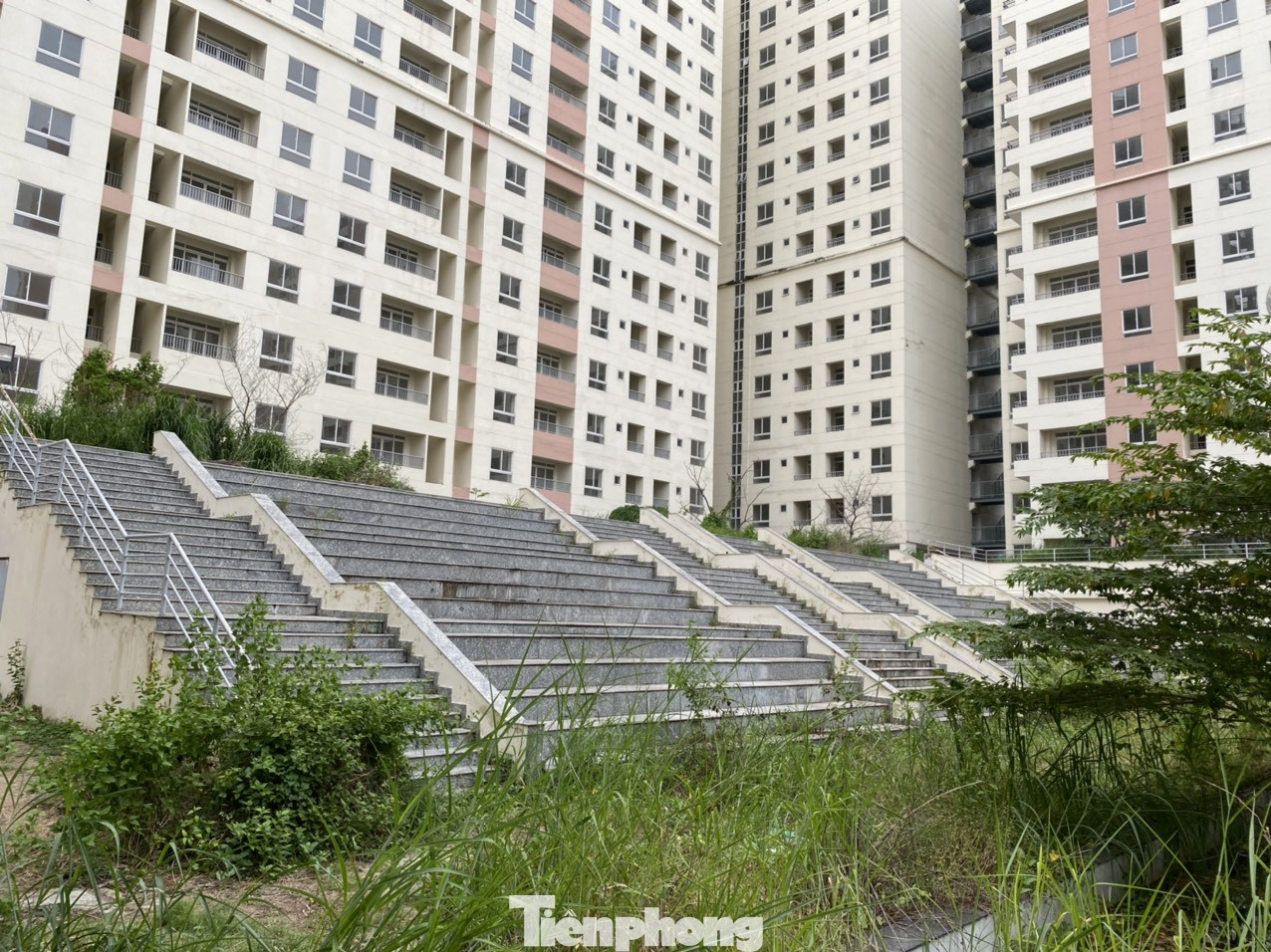 Xót xa chục ngàn căn hộ tái định cư bỏ không lãng phí ở Sài Gòn ảnh 3