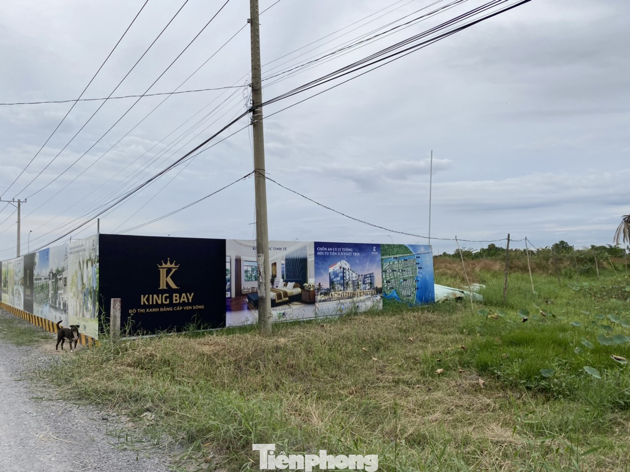 Tận thấy 'siêu' dự án King Bay 125ha chưa xong GPMB đã bán nhà tùm lum ảnh 9