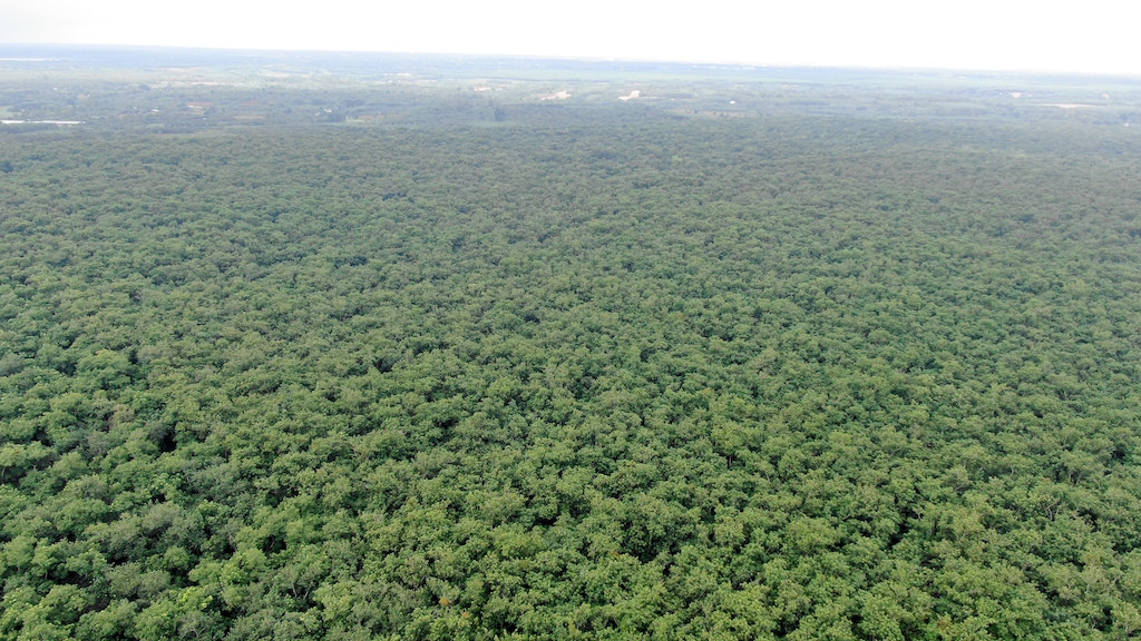 Cận cảnh khu đất hơn 1,8 nghìn ha đang thu hồi làm sân bay Long Thành ảnh 1