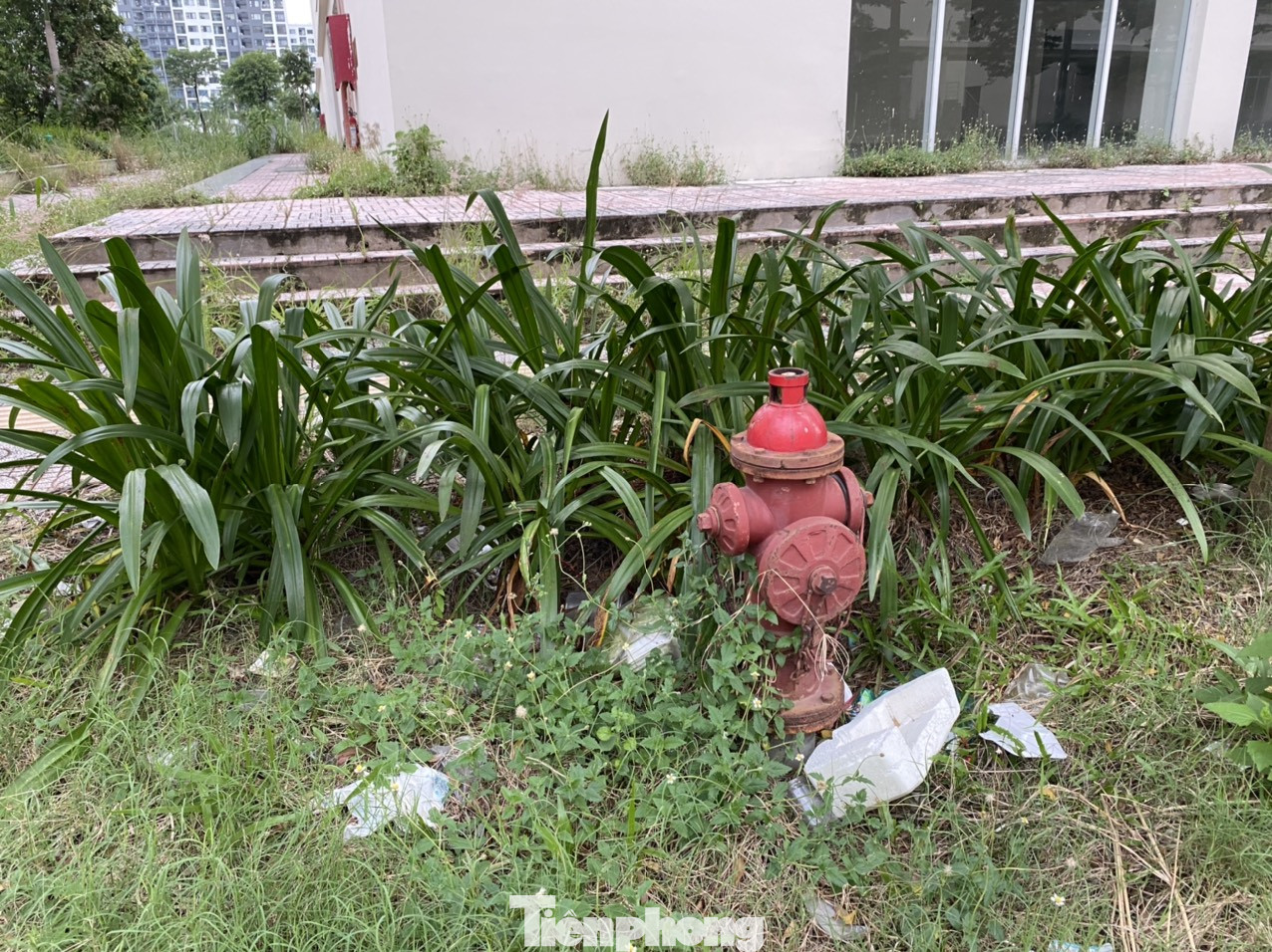 Cận cảnh các khu tái định cư tốn hàng chục tỷ bảo trì nhưng bỏ không ở Sài Gòn ảnh 8