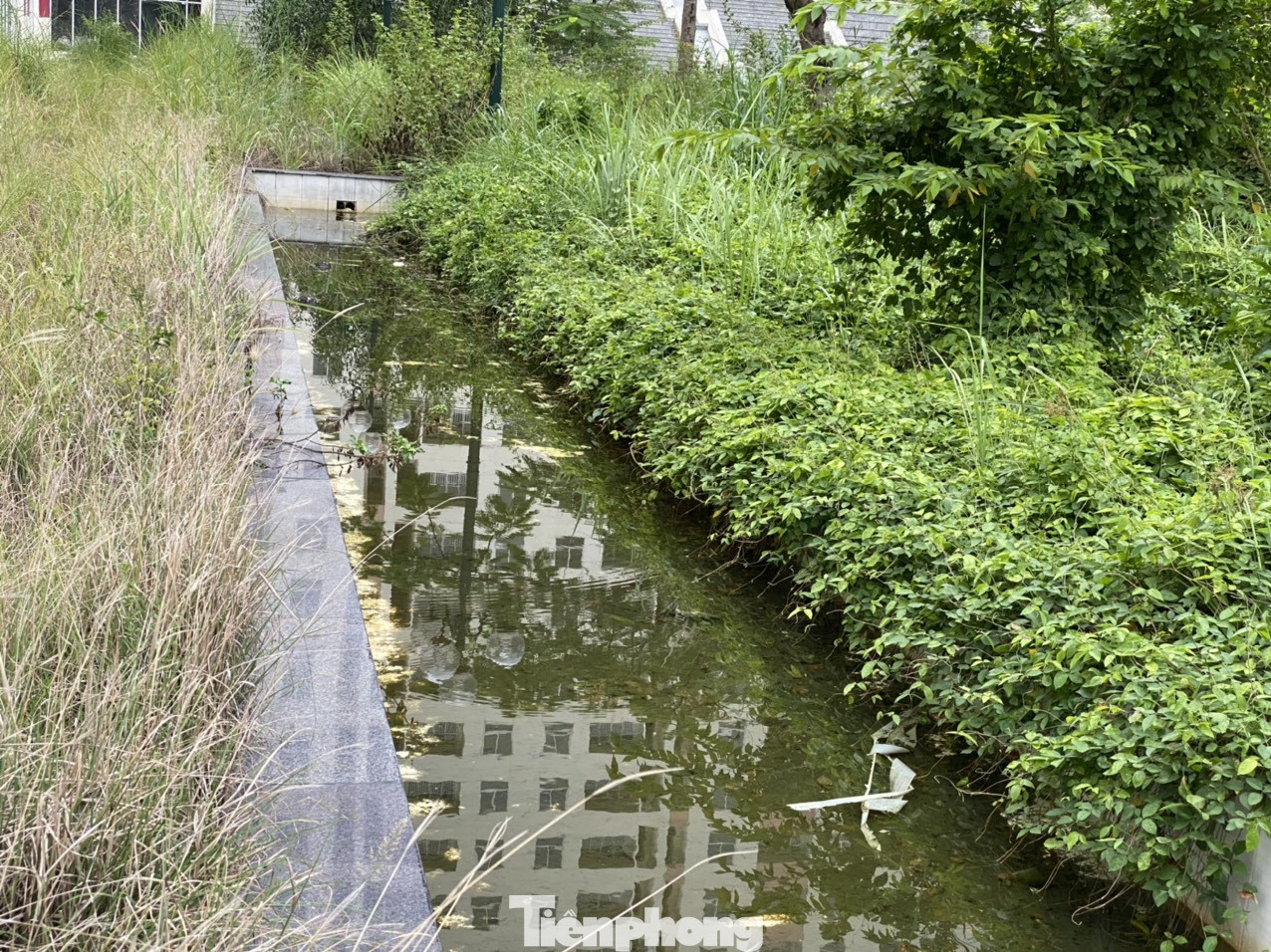 Cận cảnh các khu tái định cư tốn hàng chục tỷ bảo trì nhưng bỏ không ở Sài Gòn ảnh 18