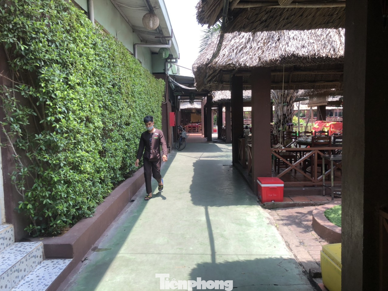 Nhà hàng ẩm thực lớn nhất Sài Gòn 'mọc' trên đất nông nghiệp ảnh 4