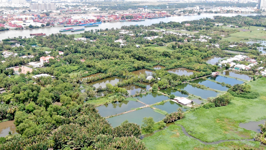 Bên trong 'siêu' đô thị bị quy hoạch treo gần 30 năm giữa lòng Sài Gòn ảnh 30