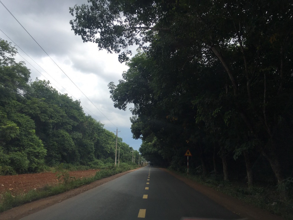 Cận cảnh khu đất hơn 1,8 nghìn ha đang thu hồi làm sân bay Long Thành ảnh 4