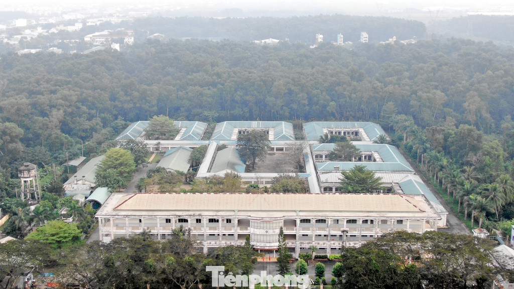 Chưa bàn giao, Bệnh viện Tâm thần TPHCM đã sụt lún như gặp động đất ảnh 22