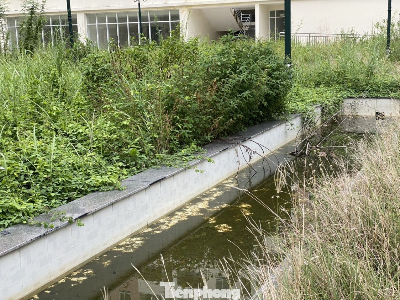 Cận cảnh các khu tái định cư tốn hàng chục tỷ bảo trì nhưng bỏ không ở Sài Gòn ảnh 17