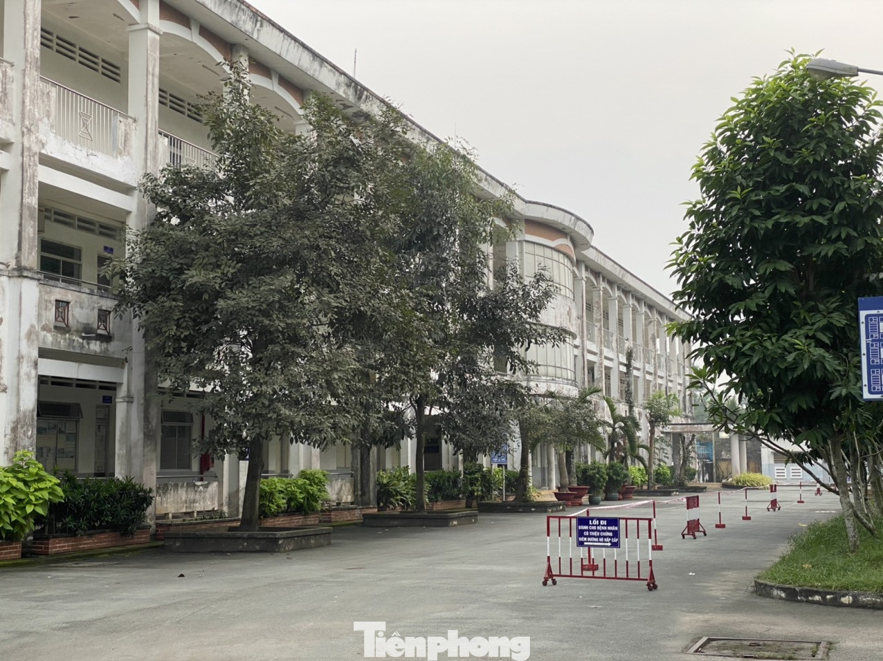 Chưa bàn giao, Bệnh viện Tâm thần TPHCM đã sụt lún như gặp động đất ảnh 8