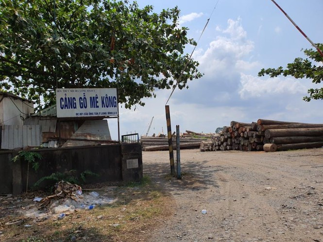 Thanh tra TPHCM kiến nghị xử lý tình trạng 'xẻ thịt' đất công viên ảnh 1