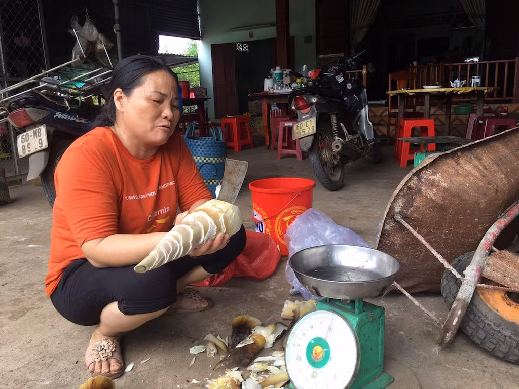 Cận cảnh khu đất hơn 1,8 nghìn ha đang thu hồi làm sân bay Long Thành ảnh 22