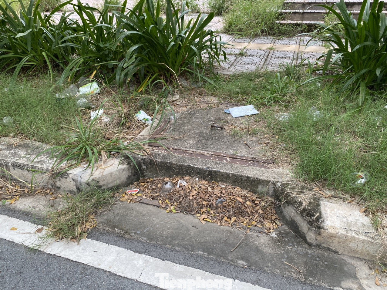 Cận cảnh các khu tái định cư tốn hàng chục tỷ bảo trì nhưng bỏ không ở Sài Gòn ảnh 9