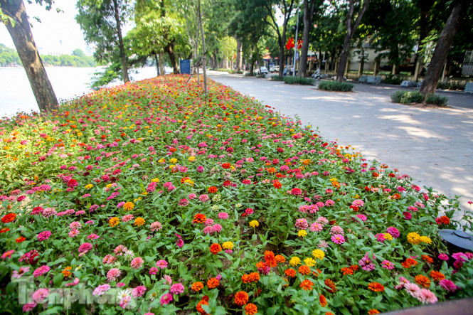 Diện mạo Hồ Gươm thay đổi ra sao trước ngày 'về đích'? ảnh 14