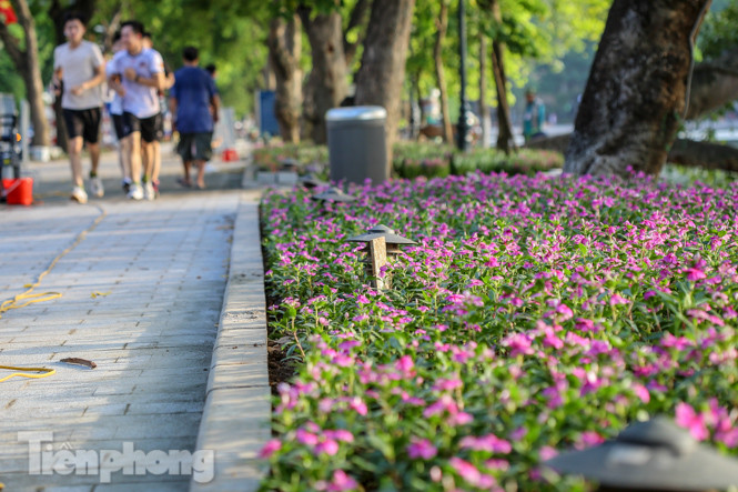 Diện mạo Hồ Gươm thay đổi ra sao trước ngày 'về đích'? ảnh 15