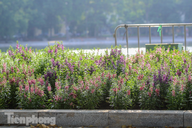 Diện mạo Hồ Gươm thay đổi ra sao trước ngày 'về đích'? ảnh 17