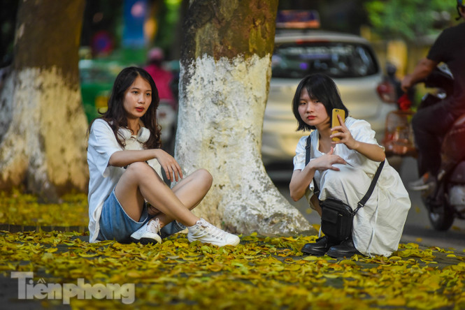  Lá phủ vàng con phố trong tiết trời chuyển sang thu ở Hà Nội ảnh 3
