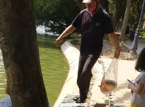 Phóng sinh 'đủ món' ra hồ Hoàn Kiếm ngày rằm tháng 7 ảnh 5