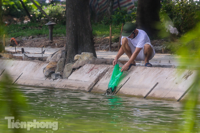 Phóng sinh 'đủ món' ra hồ Hoàn Kiếm ngày rằm tháng 7 ảnh 1