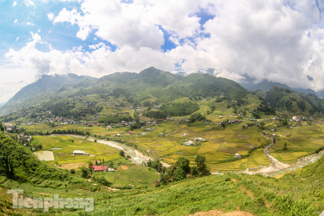 Mê mẩn cảnh sắc 'thiên đường' mùa lúa chín ở Sa Pa ảnh 1