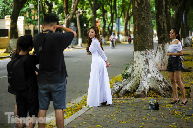  Lá phủ vàng con phố trong tiết trời chuyển sang thu ở Hà Nội ảnh 7