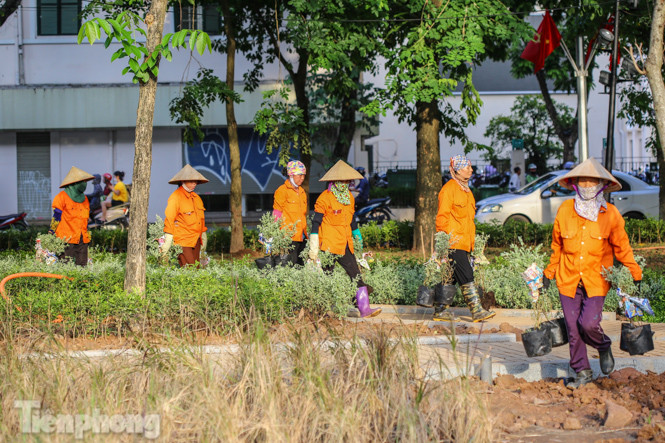 Cận cảnh 'vườn hoa' mới rực rỡ bên bờ hồ Hoàn Kiếm ảnh 10