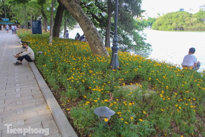 Cận cảnh 'vườn hoa' mới rực rỡ bên bờ hồ Hoàn Kiếm ảnh 5