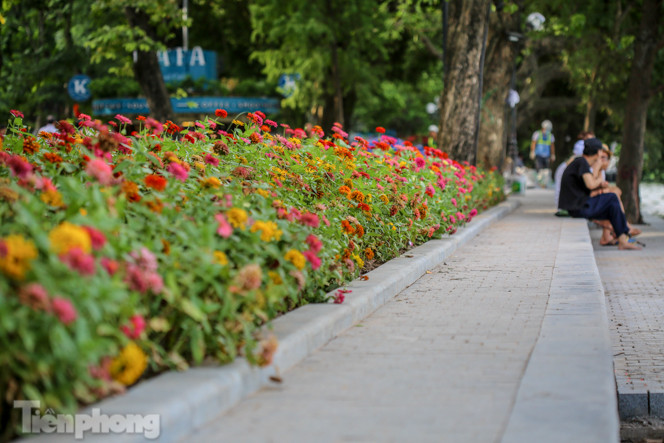 Cận cảnh 'vườn hoa' mới rực rỡ bên bờ hồ Hoàn Kiếm ảnh 4