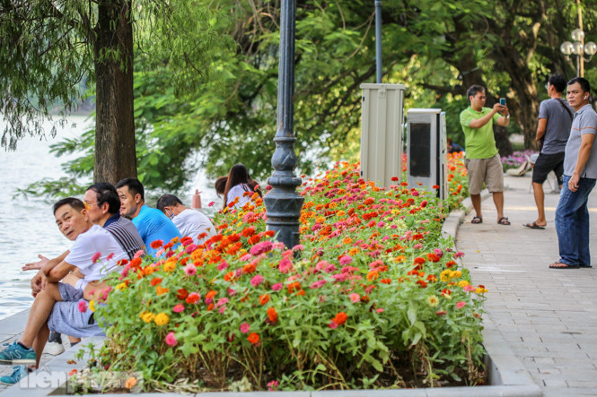Cận cảnh 'vườn hoa' mới rực rỡ bên bờ hồ Hoàn Kiếm ảnh 3