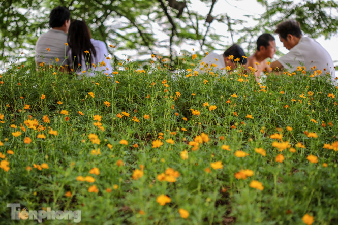 Cận cảnh 'vườn hoa' mới rực rỡ bên bờ hồ Hoàn Kiếm ảnh 2