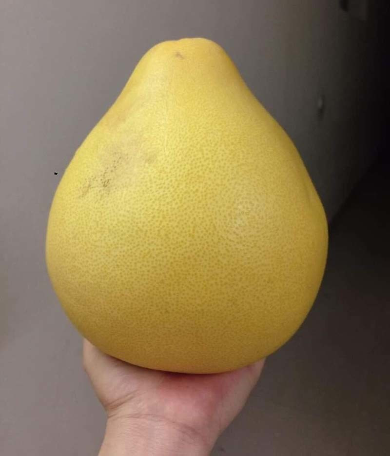 Bưởi Trung Quốc ruột đỏ au: Vỏ vàng không hạt, ngày bán cả tấn ảnh 4