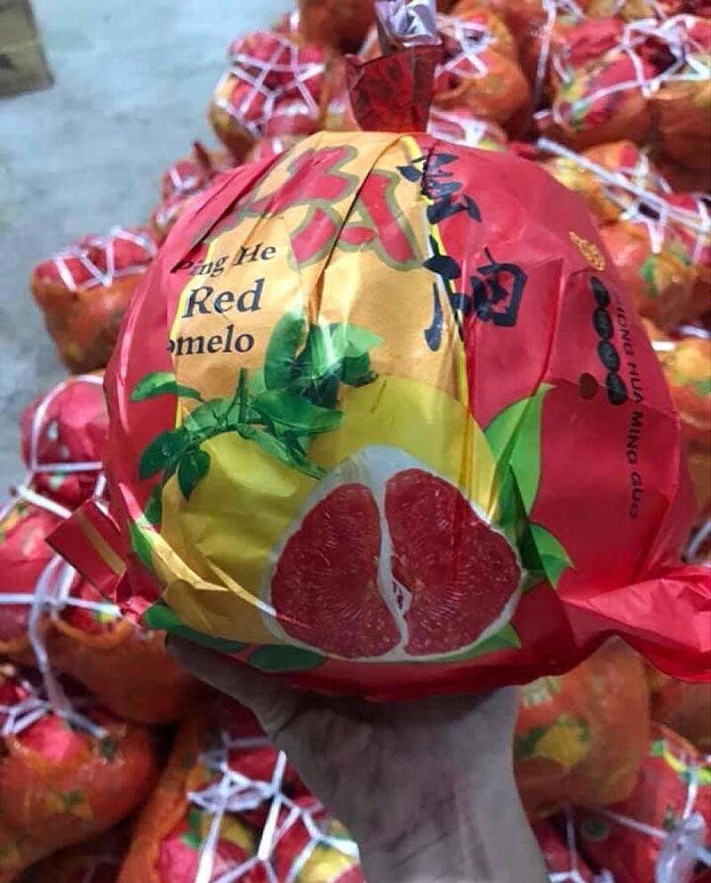 Bưởi Trung Quốc ruột đỏ au: Vỏ vàng không hạt, ngày bán cả tấn ảnh 2