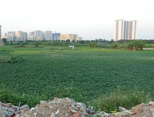 Nhiều dự án tại Hà Nội lợi dụng điều chỉnh quy hoạch để chây ỳ, kéo dài thời gian ảnh 2