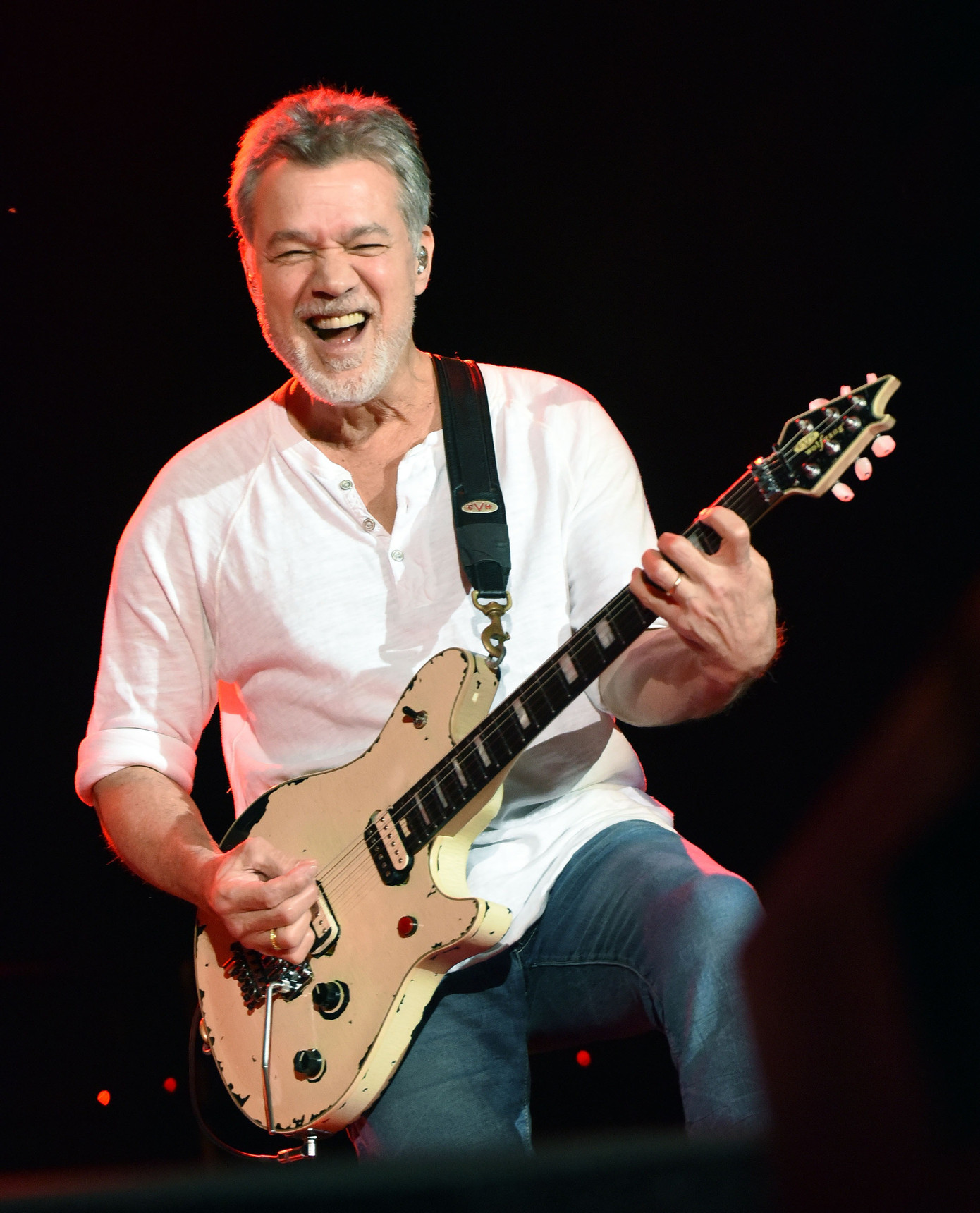 'Nghệ sĩ guitar vĩ đại nhất mọi thời đại' Eddie Van Halen qua đời ảnh 1