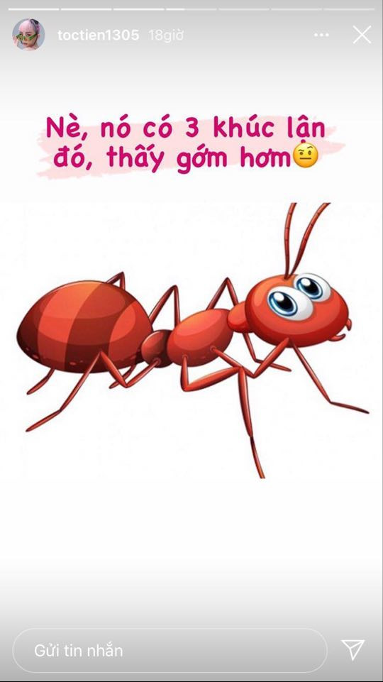 Tóc Tiên chê eo ‘con kiến’, tiết lộ 'vòng eo con người' của mình ảnh 2