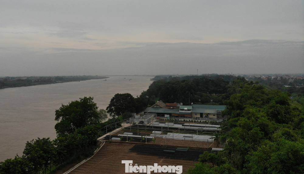 Nhan nhản trạm bê tông, bãi cát trái phép ở đoạn đê sông Hồng bị cày nát ảnh 7