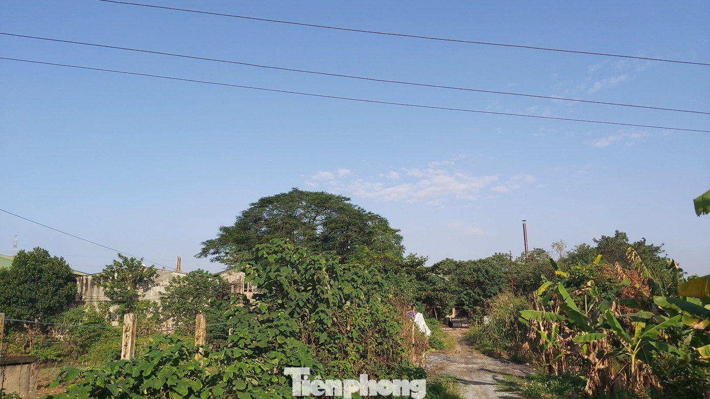 Cận cảnh nhà xưởng ô nhiễm bủa vây trường học, khu dân cư ở Hà Nội ảnh 1