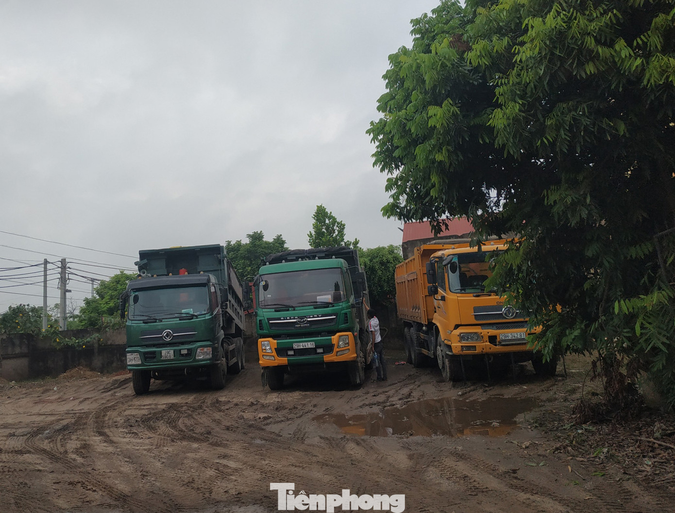 Xe quá tải, cơi nới tung hoành, tàn phá đê sông Hồng đoạn qua Hà Nội ảnh 14