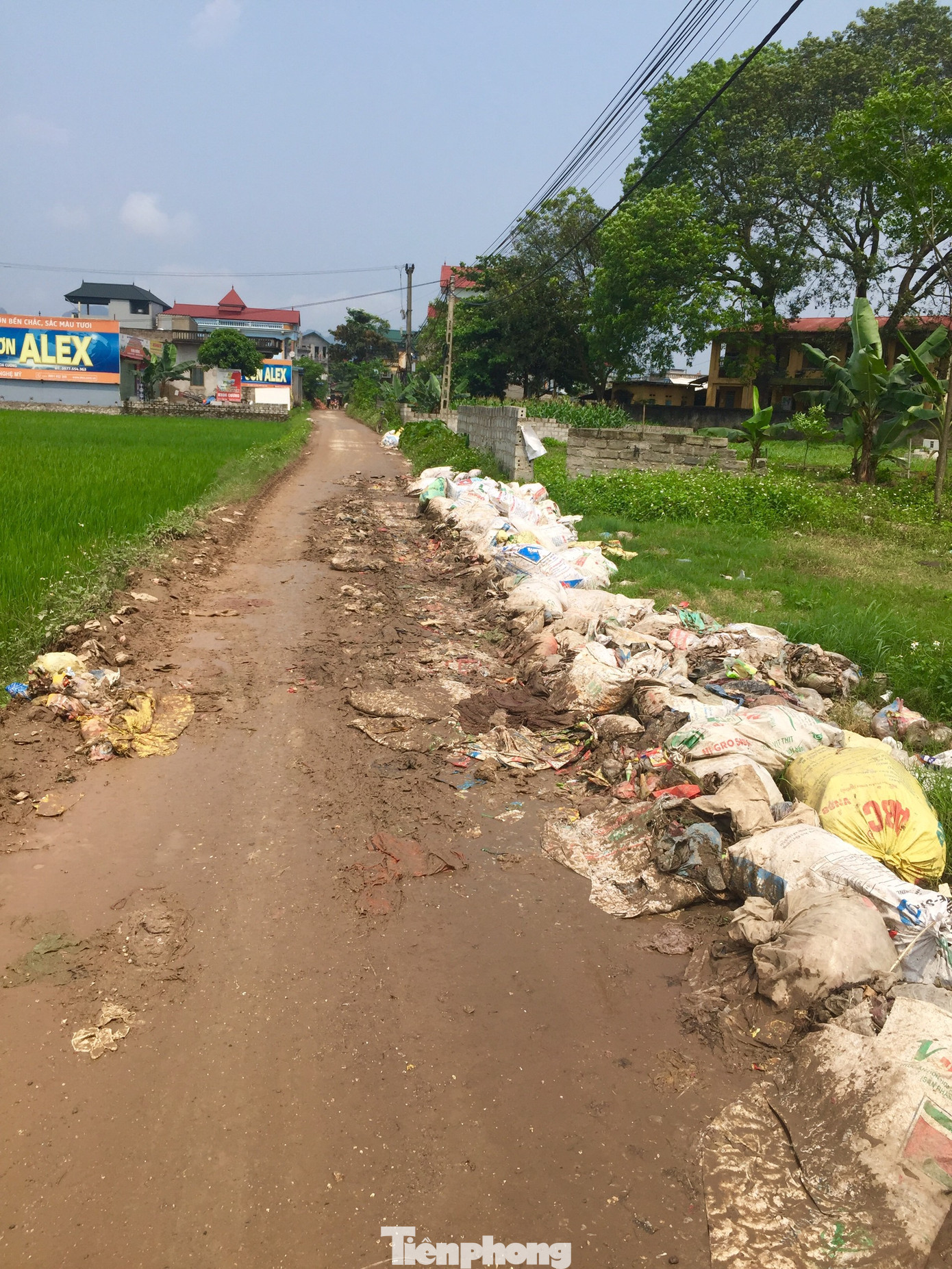 Hà Nội: Rác thải chất đống trên đường làng, kênh mương ở Mỹ Đức ảnh 4