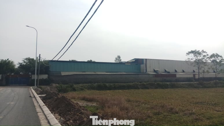Hàng loạt nhà xưởng không phép ‘mọc’ trên đất nông nghiệp ở Bắc Ninh ảnh 1