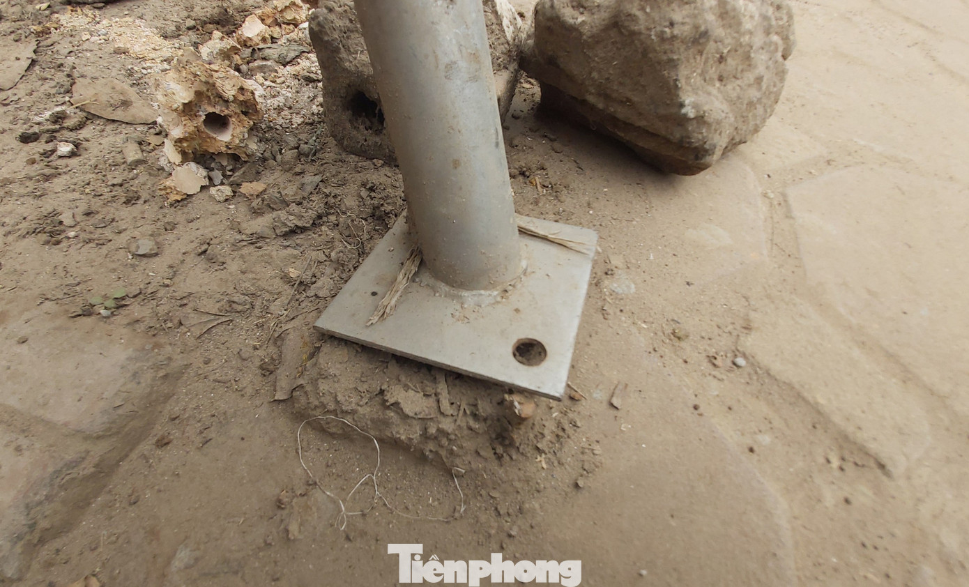 Vừa thay mới, hàng ngàn cọc chống cây xanh ngoại thành Hà Nội đã gãy đổ ảnh 6