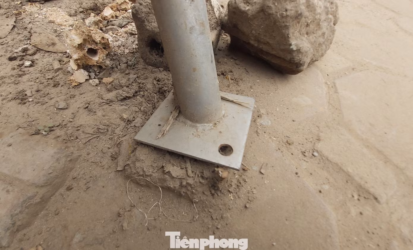 Vừa thay mới, hàng ngàn cọc chống cây xanh ngoại thành Hà Nội đã gãy đổ ảnh 6