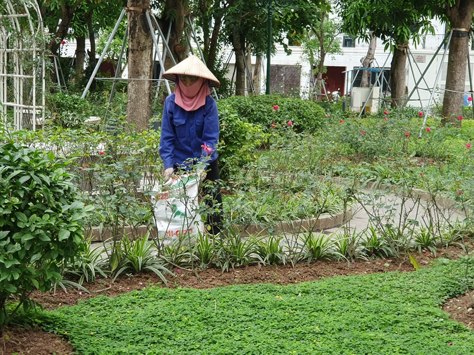 Cắt tỉa cây xanh, chỉnh trang đường phố chờ dỡ bỏ hoàn toàn cách ly ảnh 2