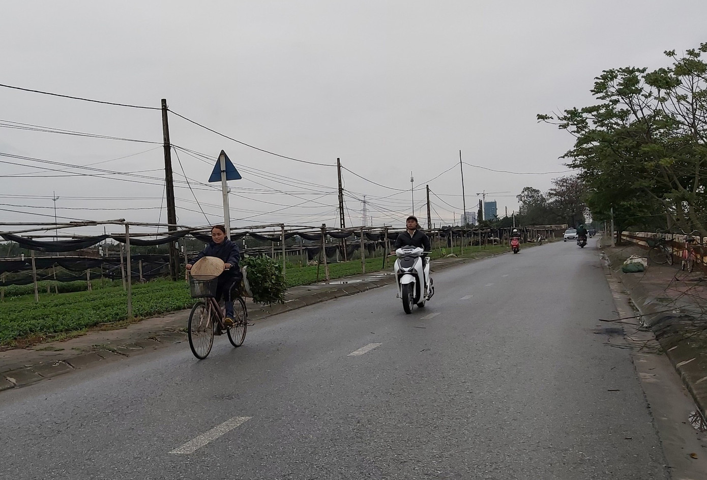 Giữa dịch Covid, làng hoa, cửa hàng hoa heo hắt trước ngày 8/3 ảnh 1