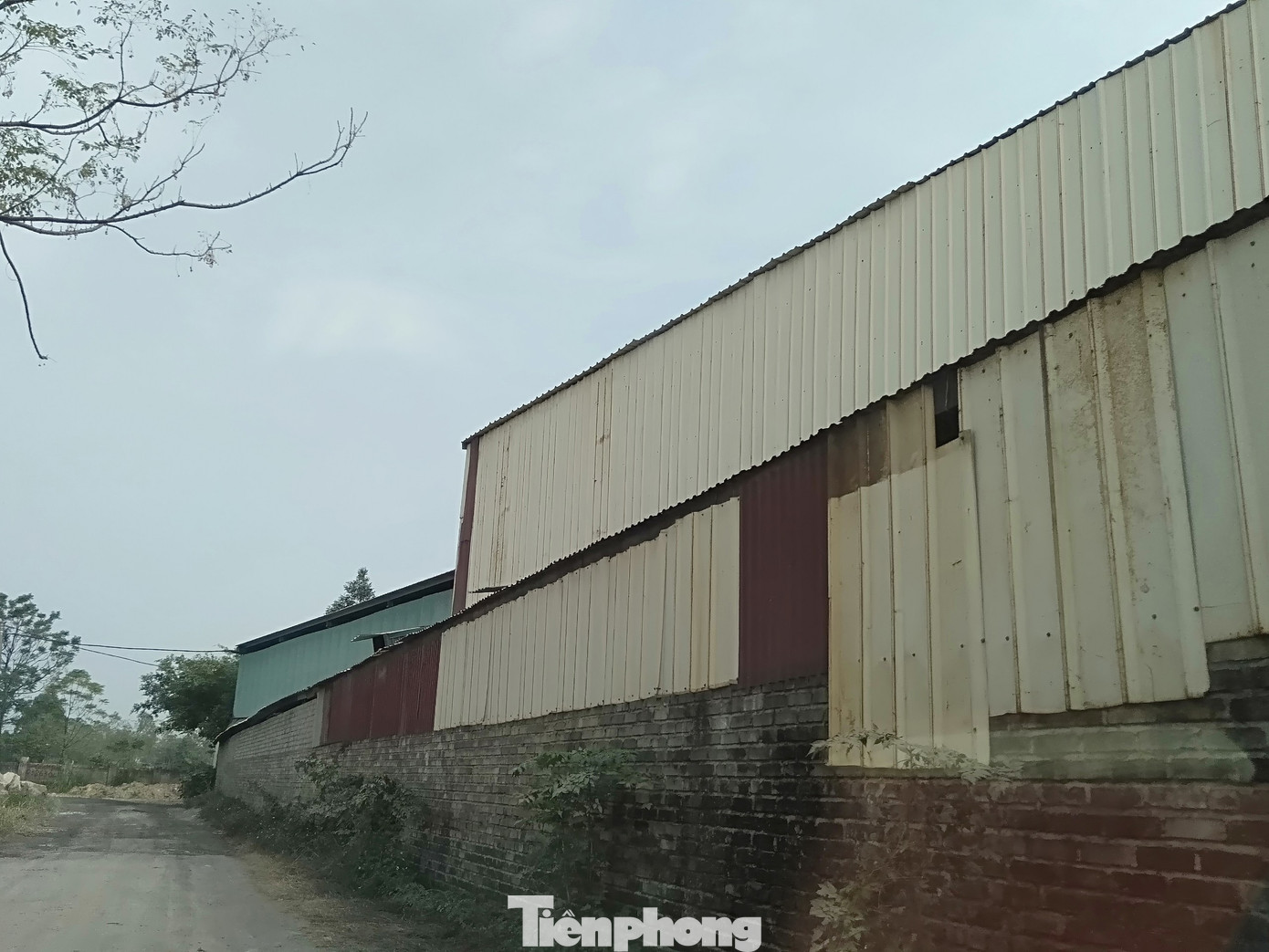 Hàng loạt nhà xưởng không phép ‘mọc’ trên đất nông nghiệp ở Bắc Ninh ảnh 2