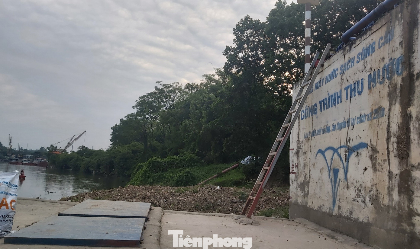 Ghê sợ dòng kênh đen sủi bọt đổ ra sông lớn ở Bắc Ninh ảnh 9