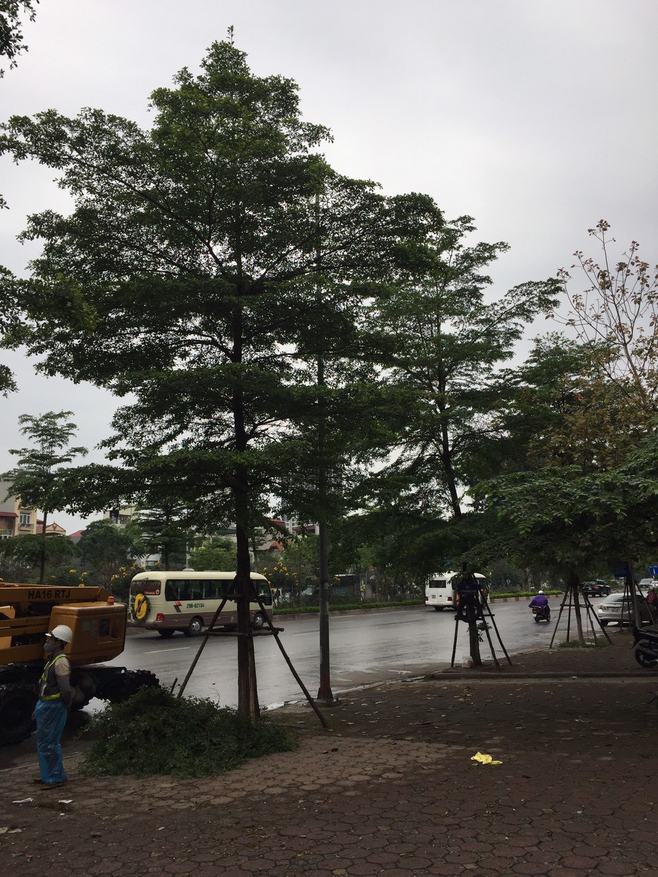 Cắt tỉa cây xanh, chỉnh trang đường phố chờ dỡ bỏ hoàn toàn cách ly ảnh 6