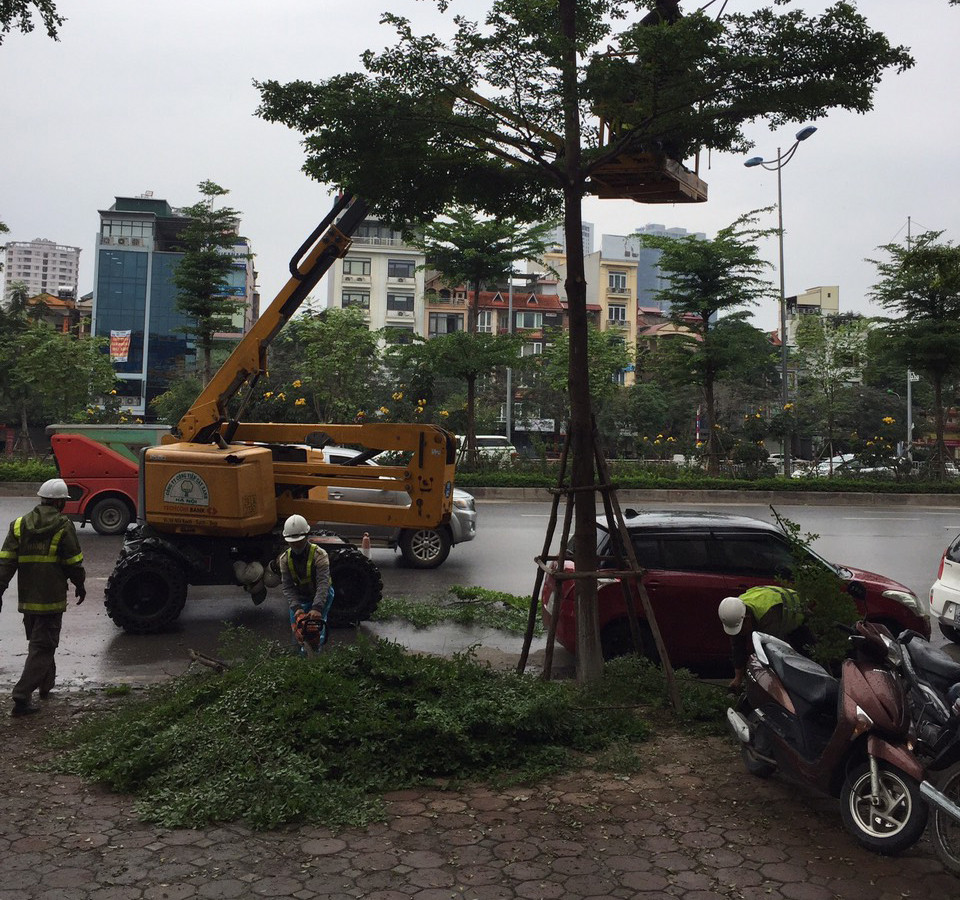 Cắt tỉa cây xanh, chỉnh trang đường phố chờ dỡ bỏ hoàn toàn cách ly ảnh 5