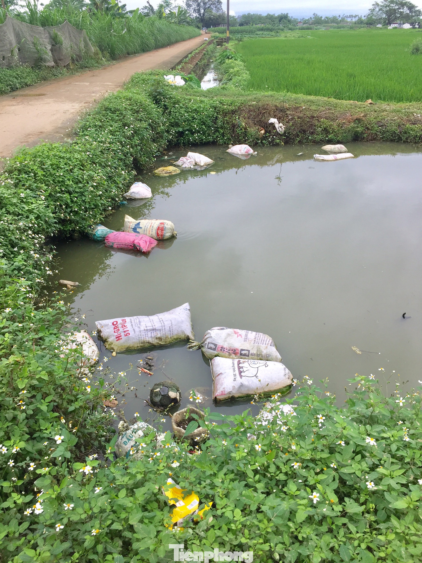 Hà Nội: Rác thải chất đống trên đường làng, kênh mương ở Mỹ Đức ảnh 7